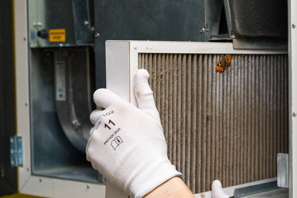 Best Affordable Duct Cleaning Services  in Fullerton, NE
